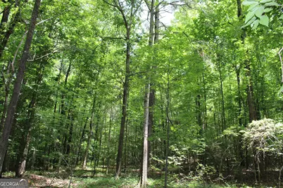 1 Neese Commerce Road, Commerce, GA 30529 - Photo 16