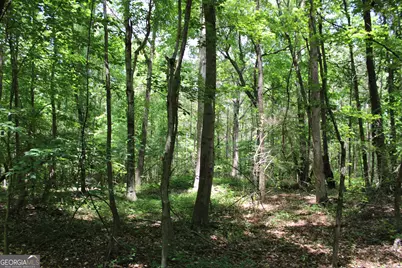 1 Neese Commerce Road, Commerce, GA 30529 - Photo 10