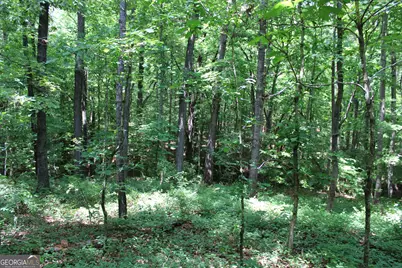 1 Neese Commerce Road, Commerce, GA 30529 - Photo 6