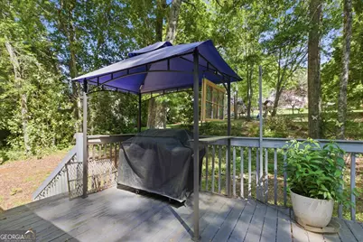 325 Springwood Drive, Clarkesville, GA 30523 - Photo 40