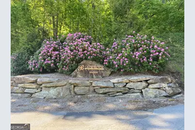 Lot 36 Winding View, Clayton, GA 30525 - Photo 4