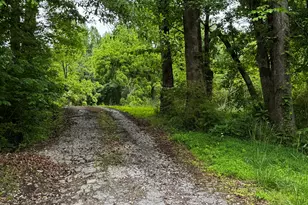 5286 Hwy 75 S, Cleveland, GA 30528 - Photo 6