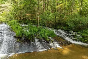 374 Watersong Trl, Ellijay, GA 30540 - Photo 6
