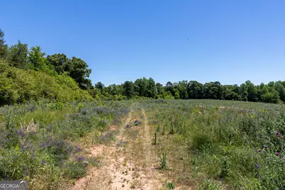 3600 Pea Ridge Road, Cornelia, GA 30531 - Photo 8