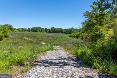 3600 Pea Ridge Road, Cornelia, GA 30531 - Photo 4