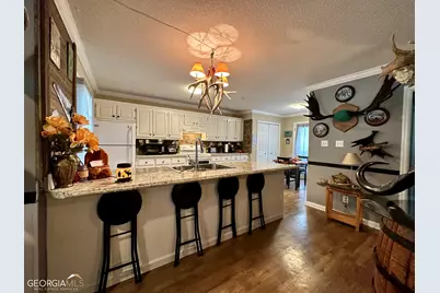 177 W Brewton Street, Mcrae, GA 31037 - Photo 14