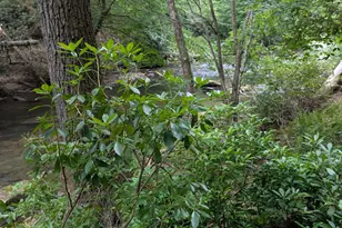 Lot 32 Byers Rd, Blairsville, GA 30512 - Photo 1