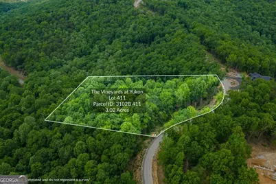 Lot 411 Calloway Mountain Road, Talking Rock, GA 30175 - Photo 2