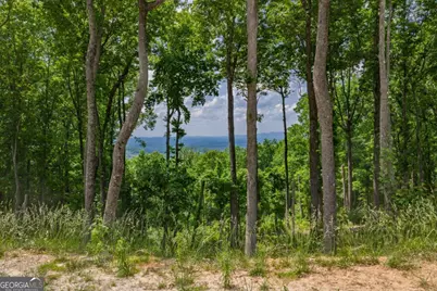 Lot 411 Calloway Mountain Road, Talking Rock, GA 30175 - Photo 4