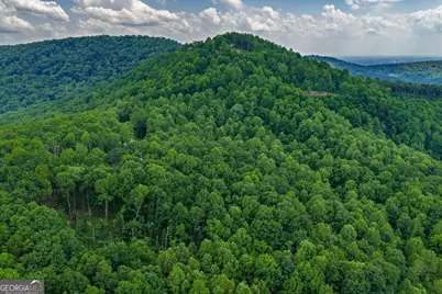Lot 411 Calloway Mountain Road, Talking Rock, GA 30175 - Photo 8