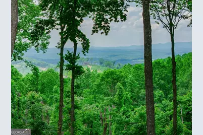 Lot 411 Calloway Mountain Road, Talking Rock, GA 30175 - Photo 1