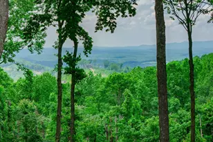 Lot 411 Calloway Mountain Rd, Talking Rock, GA 30175 - Photo 1