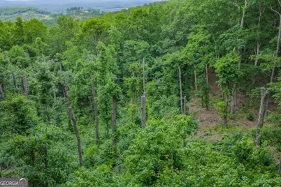 Lot 411 Calloway Mountain Road, Talking Rock, GA 30175 - Photo 6