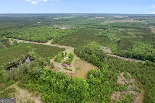 1535 W River Rd, Rhine, GA 31077 - Photo 52