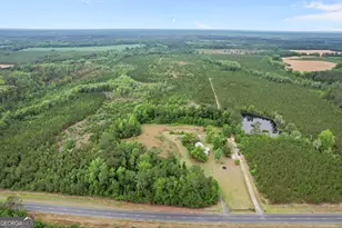 1535 W River Rd, Rhine, GA 31077 - Photo 46
