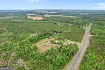 1535 W River Road, Rhine, GA 31077 - Photo 48