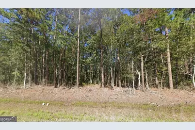 5201 Highway 32, Hortense, GA 31543 - Photo 2