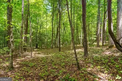 Lt 32 Oceola Drive, Ellijay, GA 30540 - Photo 2