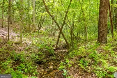 Lt 32 Oceola Drive, Ellijay, GA 30540 - Photo 10