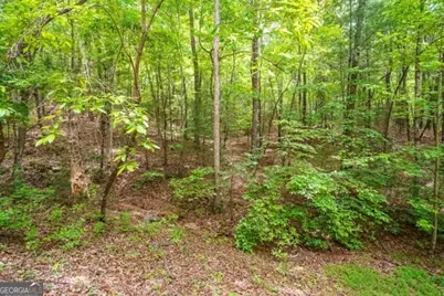 Lt 32 Oceola Drive, Ellijay, GA 30540 - Photo 8