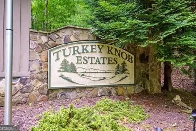 Lt 32 Oceola Drive, Ellijay, GA 30540 - Photo 14