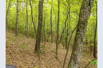 Lt 32 Oceola Drive, Ellijay, GA 30540 - Photo 12