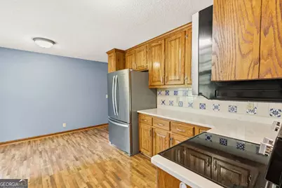 7581 Old Hwy 76, Morganton, GA 30560 - Photo 16