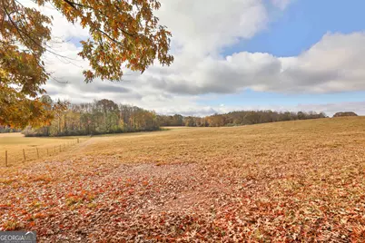 Lot 7 Mask Road - Hanner's Farm South, Brooks, GA 30205 - Photo 20