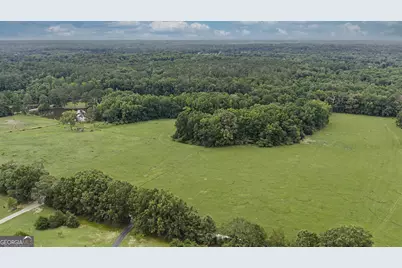 Lot 7 Mask Road - Hanner's Farm South, Brooks, GA 30205 - Photo 1