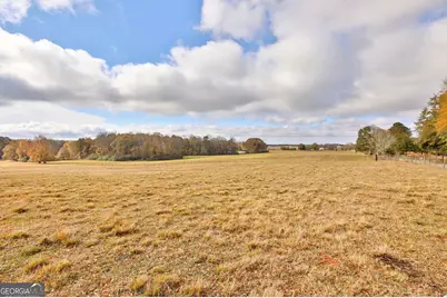 Lot 7 Mask Road - Hanner's Farm South, Brooks, GA 30205 - Photo 14