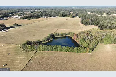 Lot 4 Mask Road - Hanner's Farm North, Brooks, GA 30205 - Photo 12