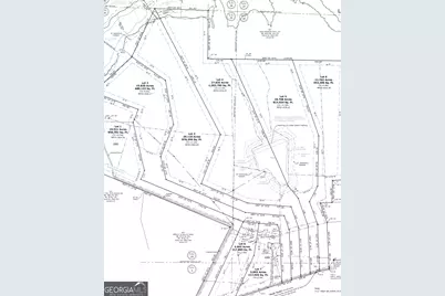 Lot 4 Mask Road - Hanner's Farm North, Brooks, GA 30205 - Photo 10