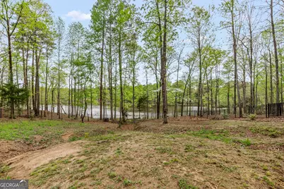 157 Waterlace Way, Fayetteville, GA 30215 - Photo 62