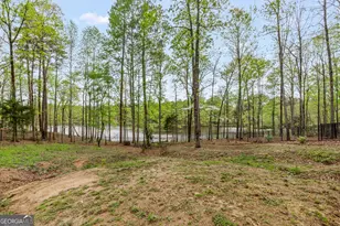157 Waterlace Way, Fayetteville, GA 30215 - Photo 62