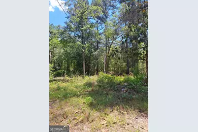 608 Bass Road, Reidsville, GA 30453 - Photo 1