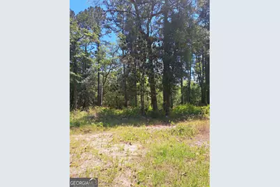 608 Bass Road, Reidsville, GA 30453 - Photo 2