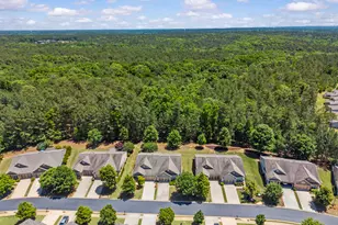 1200 Summer Hollow Rd, Greensboro, GA 30642 - Photo 10