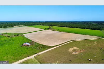 94.20 Acres At Georgia Circle #(TRACTS 1,4 &amp; 5), Hazlehurst, GA 31539 - Photo 18