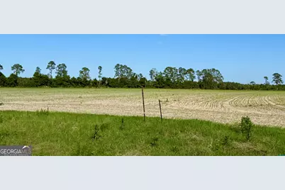 94.20 Acres At Georgia Circle #(TRACTS 1,4 &amp; 5), Hazlehurst, GA 31539 - Photo 30