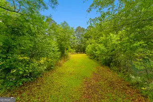 4221 Ga Hwy 119 N, Clyo, GA 31303 - Photo 46