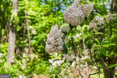 108 Olds Mountain Peak, Rabun Gap, GA 30568 - Photo 50