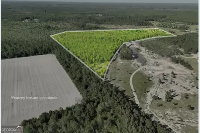 23.68 Acres Quick Draw Road, Waycross, GA 31503 - Photo 1