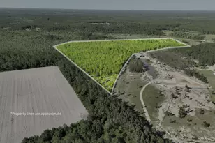 23 68 Acres Quick Draw Rd, Waycross, GA 31503 - Photo 1