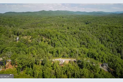 196 N Jakes Landing Way, Ellijay, GA 30540 - Photo 48