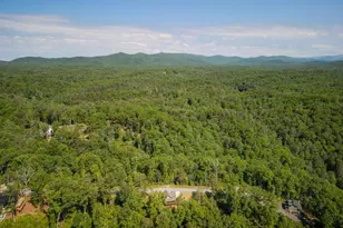 196 N Jakes Landing Way, Ellijay, GA 30540 - Photo 48