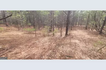 306 Patterson Road, Griffin, GA 30223 - Photo 6