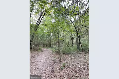 0 Spence Road, Fairburn, GA 30213 - Photo 12