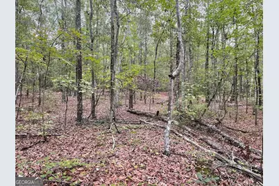 0 Spence Road, Fairburn, GA 30213 - Photo 10