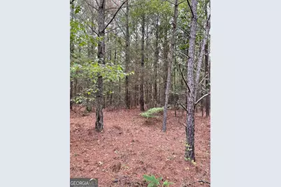 0 Spence Road, Fairburn, GA 30213 - Photo 4