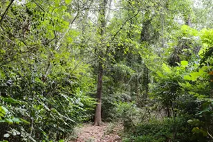 240 Beech Creek Rd, Athens, GA 30606 - Photo 58